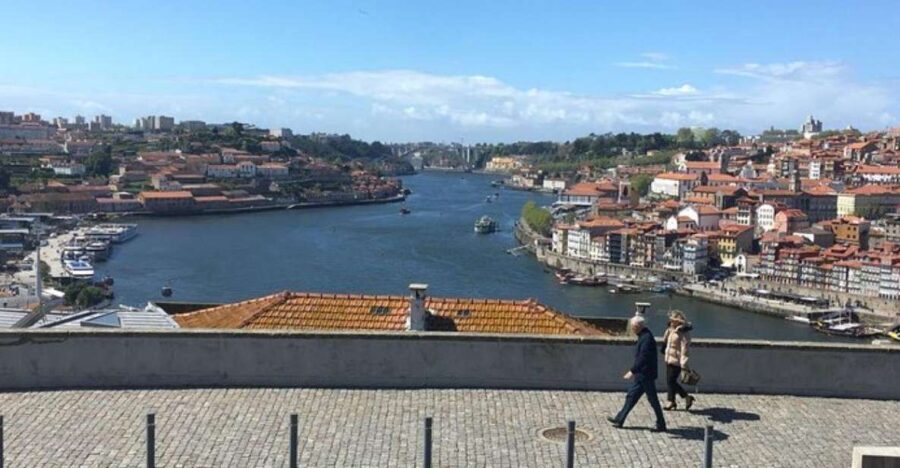 From Lisbon: Douro Valley and Porto Town Experience - Who Will Love This Tour?