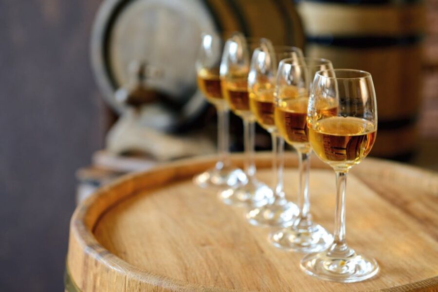 From Lisbon: Évora Wine & Heritage Tour - What the Tour Includes and Excludes