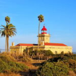 From Lisbon: Lagos & Albufeira Day Tour in the Algarve - Exploring the Algarve in a Day: An Honest Breakdown