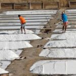 From Lisbon: Lagos Day Trip with Silves Stop - The Full Experience: What to Expect