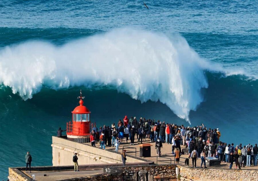 From Lisbon: Óbidos and Nazaré Guided Tour - A Closer Look at the Experience
