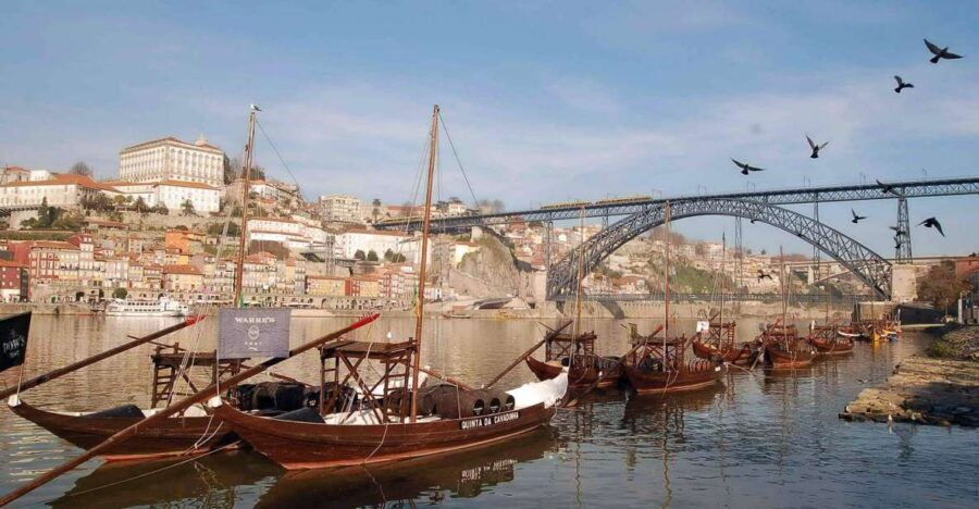 From Lisbon: Porto Full-Day Private Tour - Who Will Love This Tour?