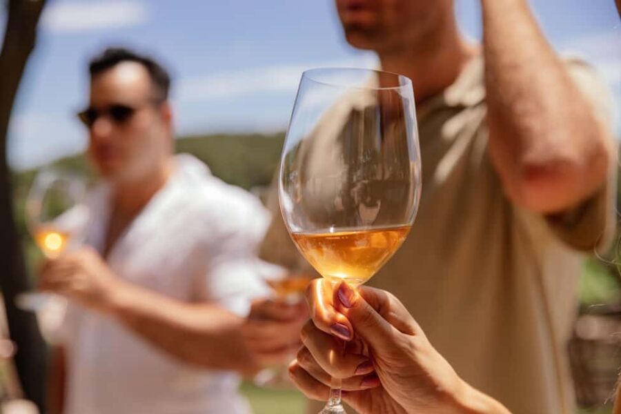 From Lisbon: Private Horseback Riding and Wine Tasting Tour - What Makes This Tour Stand Out