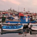 From Lisbon: Private Wine Tour with Setúbal & Arrábida - The Practicalities: What You Need to Know