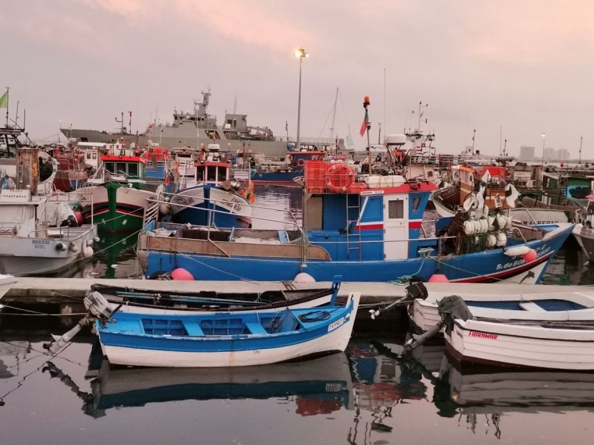 From Lisbon: Private Wine Tour with Setúbal & Arrábida - The Practicalities: What You Need to Know