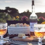 From Lisbon: Private Wine Tour with Wine & Cheese Tasting - Practical Details and Value