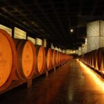 From Lisbon: Serra da Arrábida, Sesimbra, and Setúbal Wines - A Deep Dive into the Experience