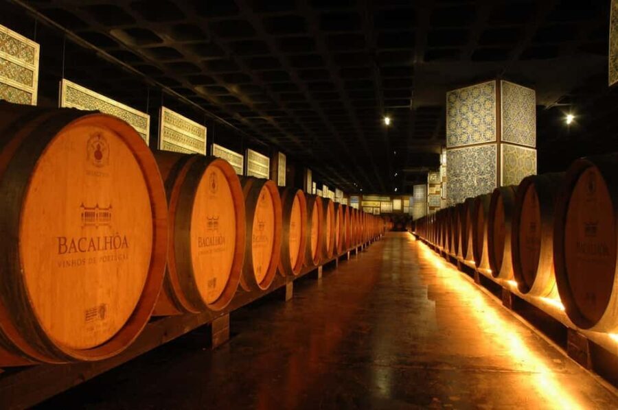 From Lisbon: Serra da Arrábida, Sesimbra, and Setúbal Wines - A Deep Dive into the Experience