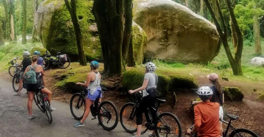 From Lisbon: Sintra and Cascais E-Bike Tour - Why This Tour Is a Great Choice