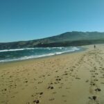 From Lisbon: Sintra and Cascais Natural Park Private Tour - Practical Details and Tips
