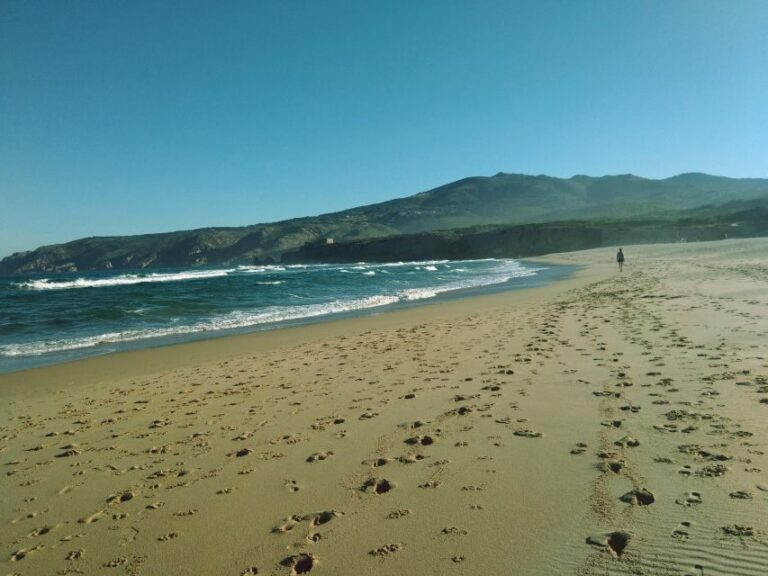 From Lisbon: Sintra and Cascais Natural Park Private Tour - Practical Details and Tips
