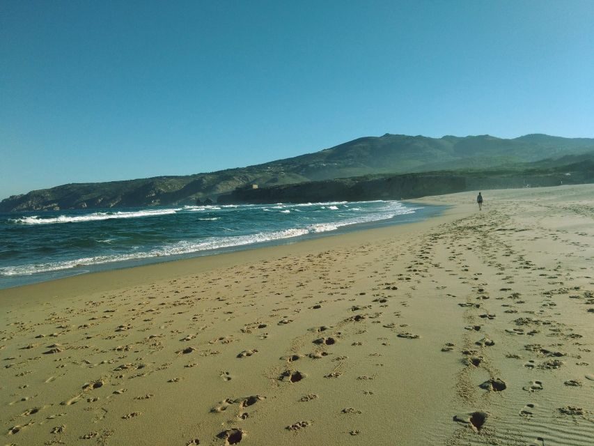 From Lisbon: Sintra and Cascais Natural Park Private Tour - Practical Details and Tips