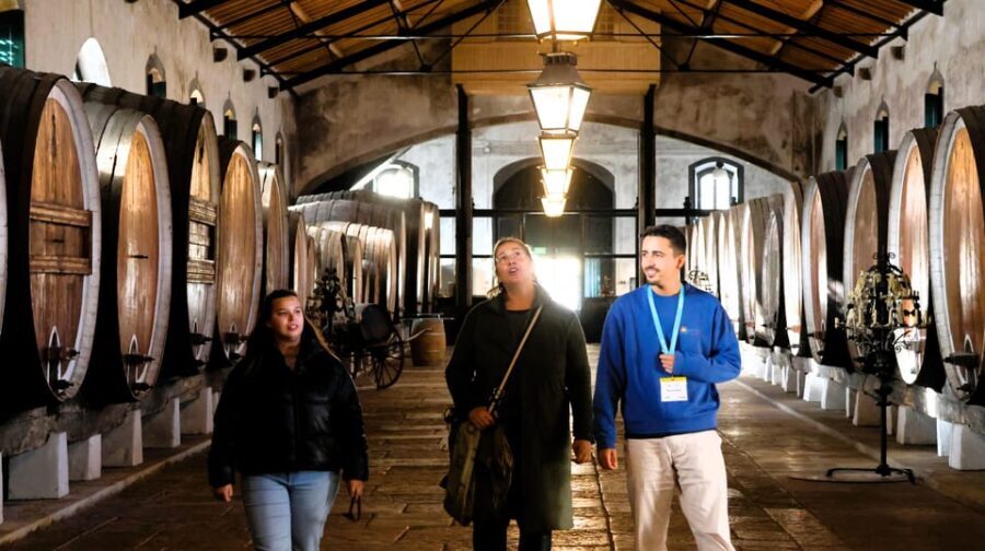 From Lisbon: Sintra, Pena Palace, Cascais and Wine Tasting - The Enchanting Pena Palace