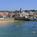 From Lisbon: Sintra Wine Experience - Final Thoughts: Is It Worth It?