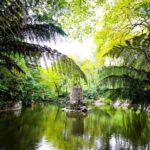 From Lisbon: Sintra's Historical and Natural Gems - The Value of This Tour