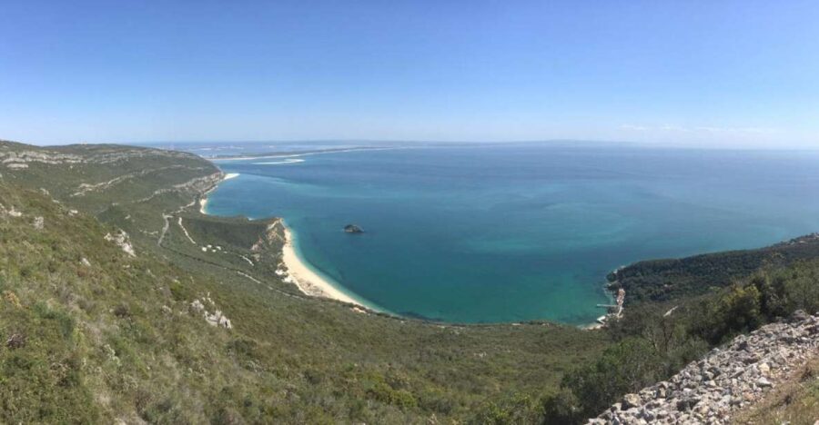 From Lisbon: Vicentine Coast Exploration - A Deep Dive Into the Vicentine Coast Tour