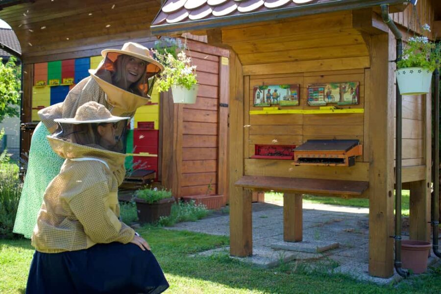 From Ljubljana: All About Bees - A closer look at the experience: what you can expect