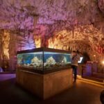 From Ljubljana: Lake Bled & Postojna Cave with Entry Tickets - What Makes This Tour Stand Out