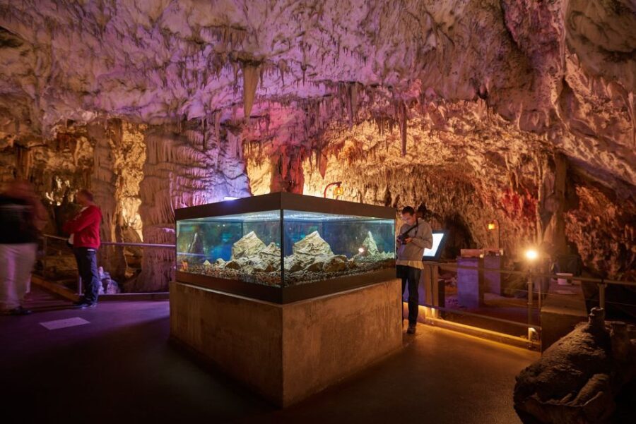 From Ljubljana: Lake Bled & Postojna Cave with Entry Tickets - What Makes This Tour Stand Out