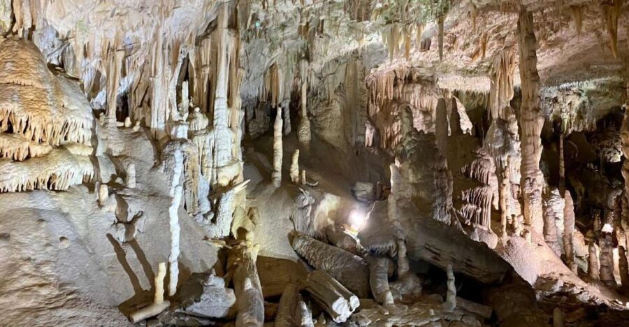 From Ljubljana: Postojna Cave Day Trip - The Sum Up