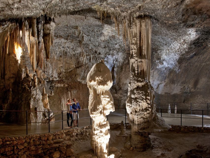 From Ljubljana: Postojna Cave & Predjama Castle Half-Day - Postojna Cave: Natural Masterpieces in a Subterranean World