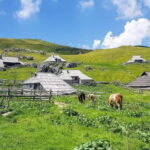 From Ljubljana: Velika Planina Guided Hike - Who Will Love This Tour?
