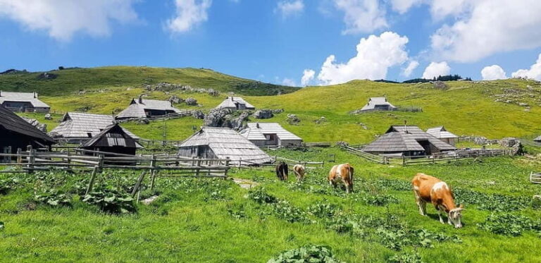 From Ljubljana: Velika Planina Guided Hike - Who Will Love This Tour?