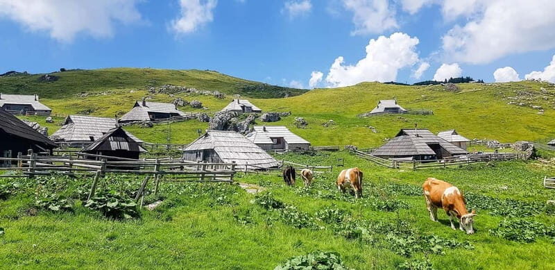 From Ljubljana: Velika Planina Guided Hike - Who Will Love This Tour?