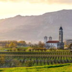 From Ljubljana: Vipava Valley Wine Express Tour - A Close Look at the Vipava Valley Wine Express Tour