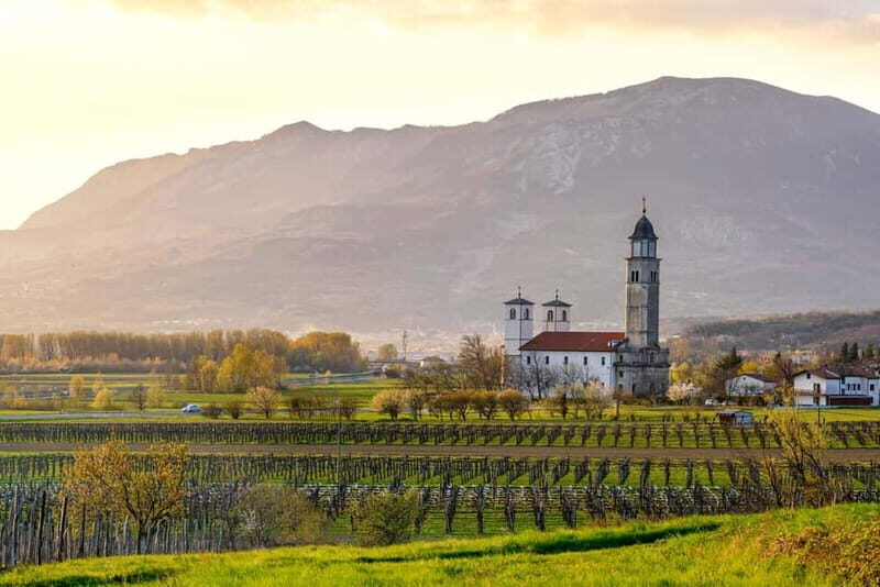 From Ljubljana: Vipava Valley Wine Express Tour - A Close Look at the Vipava Valley Wine Express Tour