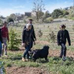 From location: Truffle farm visit, culinary workshop, meal - Exploring the Truffle Farm Experience