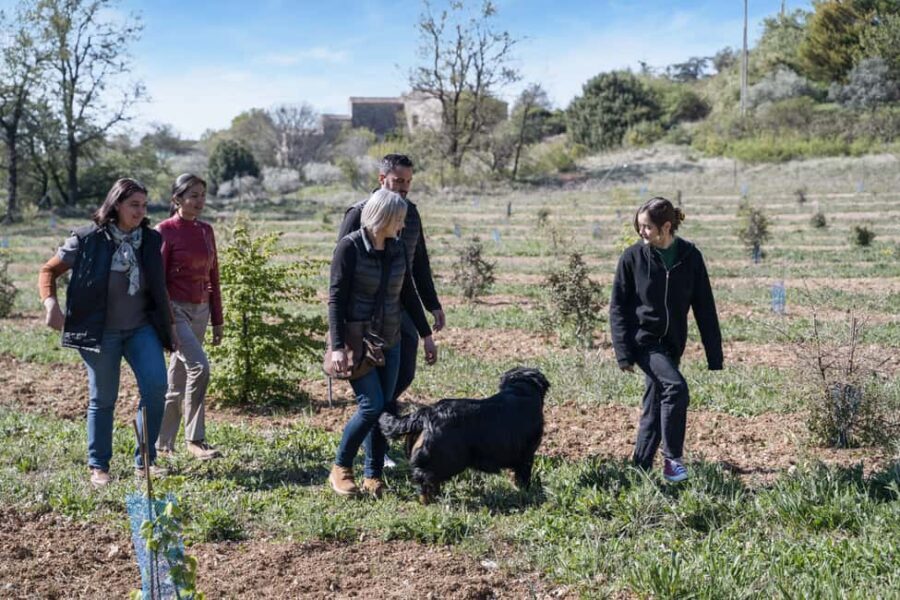 From location: Truffle farm visit, culinary workshop, meal - Exploring the Truffle Farm Experience