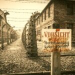 From Lodz: Auschwitz-Birkenau Small-Group Tour with Lunch - Starting Point and Transportation
