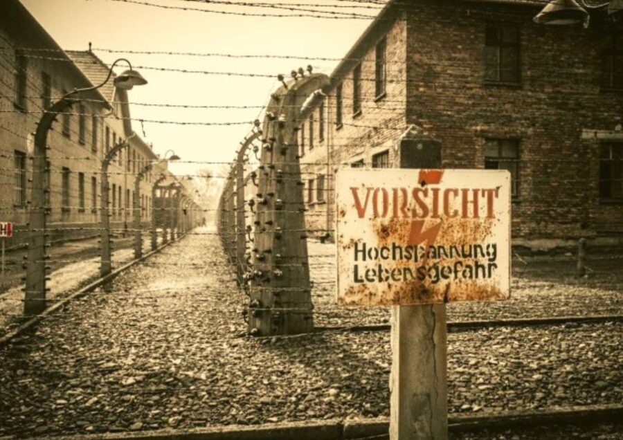 From Lodz: Auschwitz-Birkenau Small-Group Tour with Lunch - Starting Point and Transportation