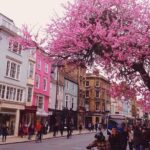 From London: Small-Group Cotswolds Villages In-Depth Day Tour - FAQs