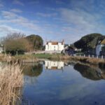 From London: Sussex Villages and White Cliff Guided Tour - An In-Depth Look at the Sussex Villages and White Cliffs Tour