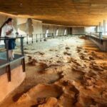From Longreach: Outback Winton Full Day Tour - Considerations and Who Will Appreciate It