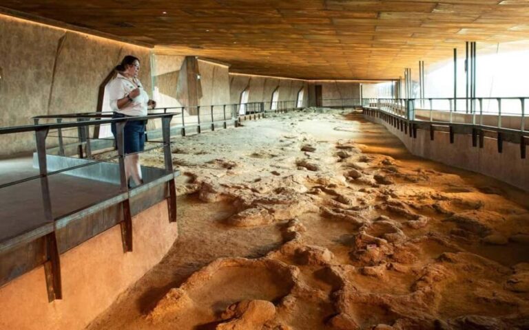 From Longreach: Outback Winton Full Day Tour - Considerations and Who Will Appreciate It