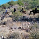 From Loreto: Baja Desert Horseback Riding Tour - What Makes This Tour Stand Out