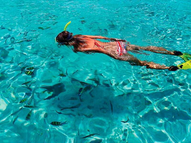 From Loreto: Coronado Island Snorkel - The Sum Up