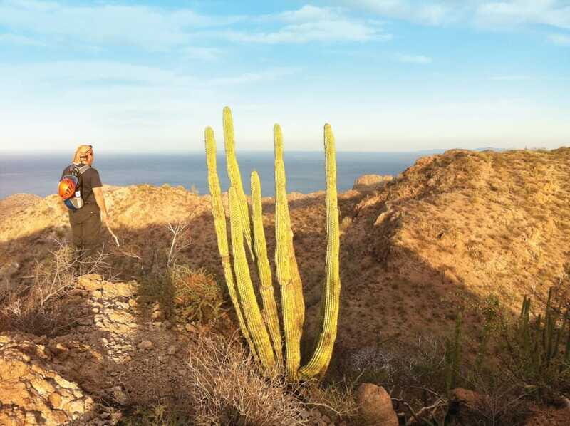 From Loreto: Tabor Canyon Guided Hike - Who Should Consider This Tour?