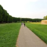 From Lucca to Pisa: Self-Guided Bike Tour - In-Depth Review