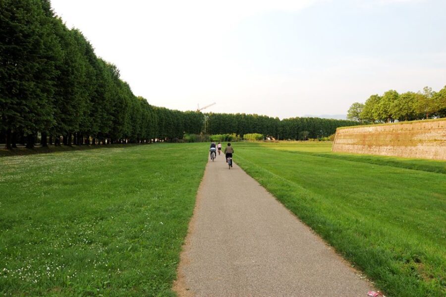 From Lucca to Pisa: Self-Guided Bike Tour - In-Depth Review