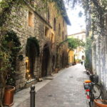 From Lugano: Como & Bellagio Charming Cruise w/ Train Ticket - An In-Depth Look at the Lake Como & Bellagio Excursion