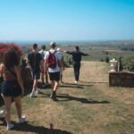 From Lyon : Beaujolais Private Day Tour by Vintage Defender - What Makes This Tour Stand Out?