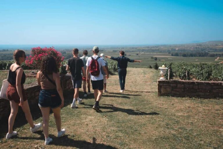 From Lyon : Beaujolais Private Day Tour by Vintage Defender - What Makes This Tour Stand Out?