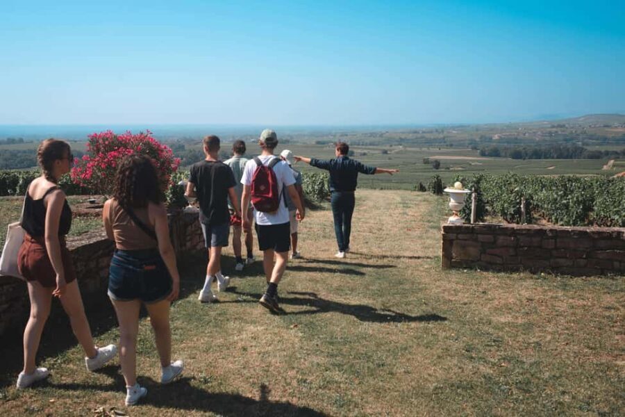 From Lyon : Beaujolais Private Day Tour by Vintage Defender - What Makes This Tour Stand Out?
