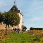 From Lyon: Beaujolais Wine Tour with Tastings - Who Should Consider This Tour?