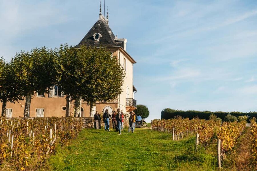 From Lyon: Beaujolais Wine Tour with Tastings - Who Should Consider This Tour?