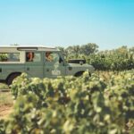From Lyon: Burgundy Private Half Day Tour by Defender - Exploring the Burgundy Half-Day Tour: What to Expect